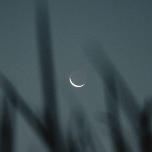  دلخوریم ازت انقدر زیاده که تاثیری نداره که سال نو بشه