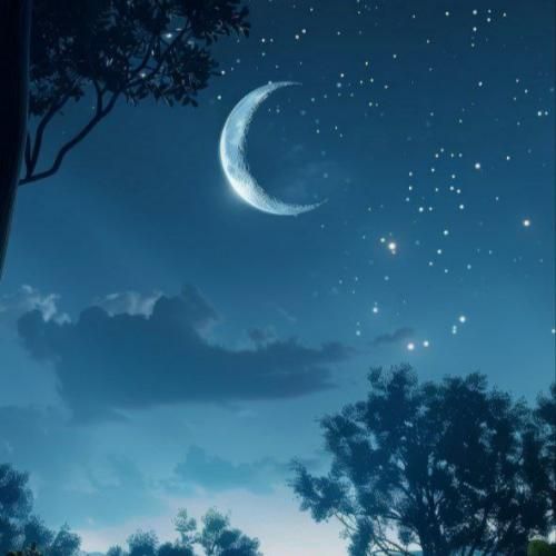 زینب بریمانی روی سنگ قبر من عکسی از جلوه ی زیبای