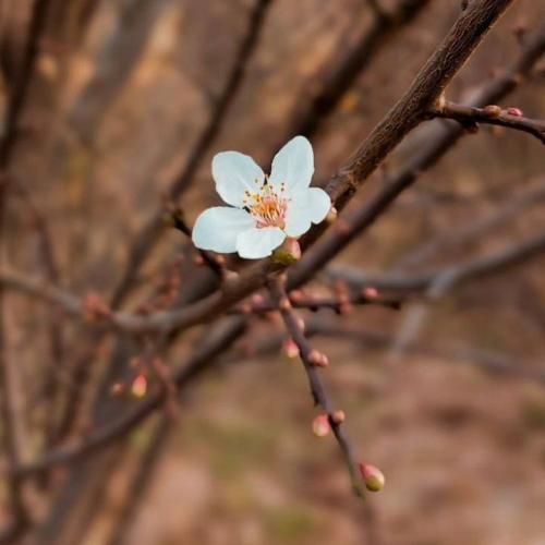  تازه فهمیدم از زندگی چی میخوام وقتی مشتو کوبیدم