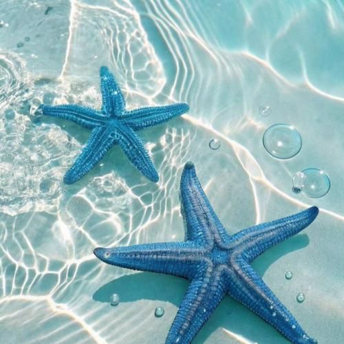  به نام محرومان به نام دلشکسته گان به نام تن فروشان