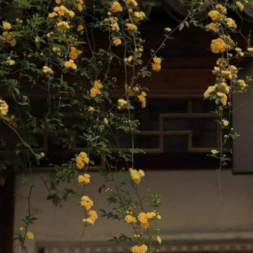 گم شدی ولت کردم رفتی یبارم نزدم بهت زنگم