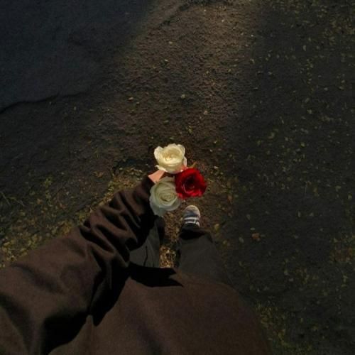  تو خونم میره زهرماری من که پایت بودم حتی کله خالی