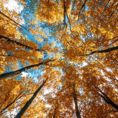  فردا روز منه حتی با دوتا چشم بسته مرگ واسم