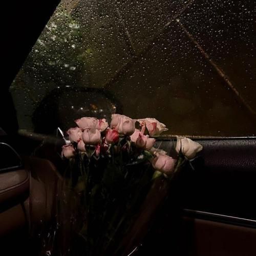  بورا میصیر یولو‌دو شینقلی نانای نانای