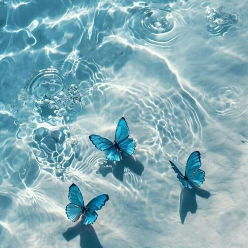 من چندین نسخه از خودمو کشتم سوزوندم