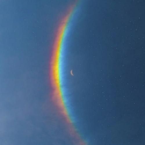 داری میگی بهم تو دروغ توام میخوای از خودم عشقو