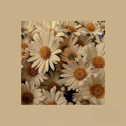  من میدونم که به تو عادت کردم وقتی نبودی دوزو رد کردم