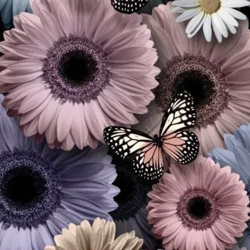  رفتش انگار یهو همه غم دنیا گرفتش رو من اوف