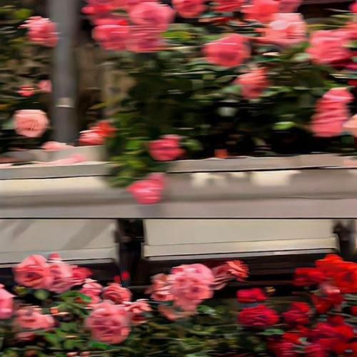  حس نمیکنم دیگه توی قلبم درد حال کسی نمیکنه