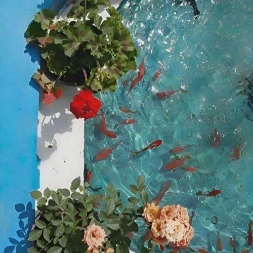  بازم فری استایل این سری برق میپره از پریزات