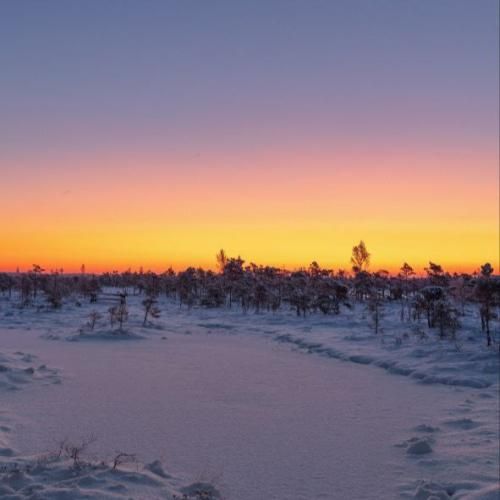  تکست نمیدم بگم دلم تنگه چون میدونم چیه باز جوابت