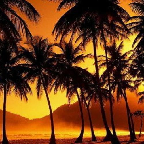  ما به جنگ عادت داریم مثل ظهر آفتاب