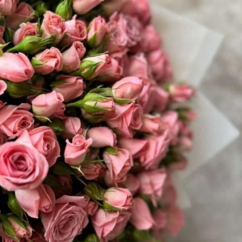 زینب بریمانی تو غرور مرا بشکستی که یه نامه برام نفرستی