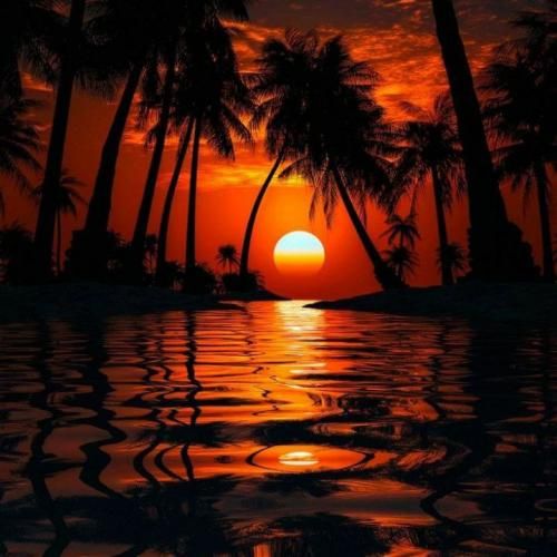  ولی برمیگیردم به طناب زندگی با لحظه ناب سقوط