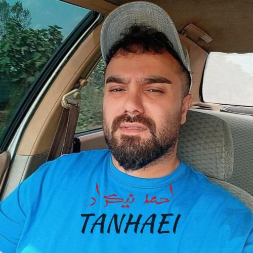 احمد نیکزاد تنهایی