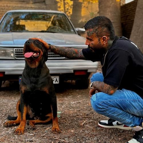 مهدیار به ما میرسه