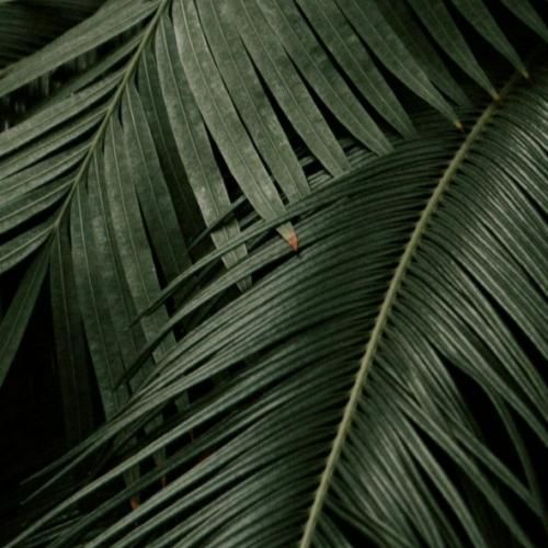  گلوم پر بغضه هوا روشن شده دیگه دم صبحه