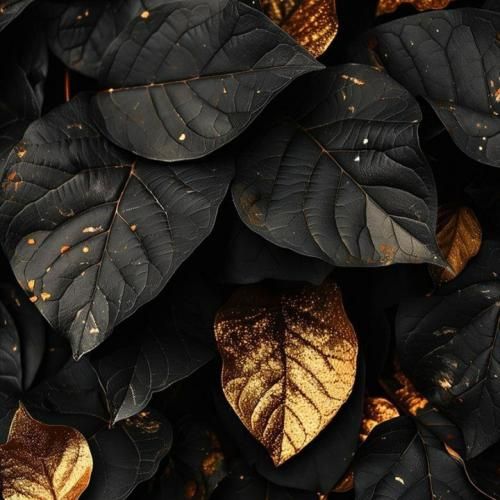  ببین اون آدم سابق مرد که با حقوقش کرد