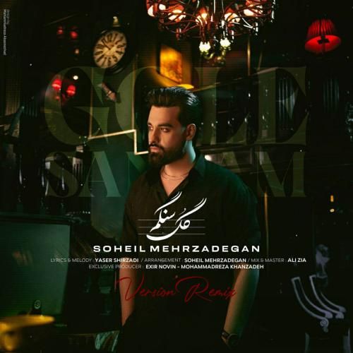 سهیل مهرزادگان گل سنگم