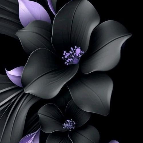  صدبار گفتم ویس بده دخی نگیر تماس (میکس اینستا)