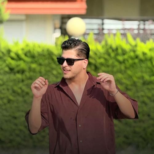 امیر چیتگر دله دیگه