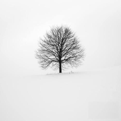  کوییک سوارم اومدم که لج درارم (ترند اینستا)