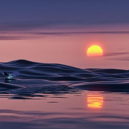  ضربان قلبمو بردی بالا ندیدم من مثل تورو تا حالا