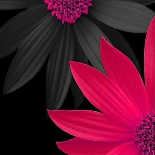  بدنم مختله زندگیم شده چی میشد اگه خستم