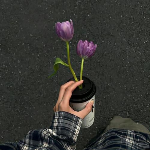  من که واسه رسیدن نمیرفتم احمقا من از دست نرسیدن