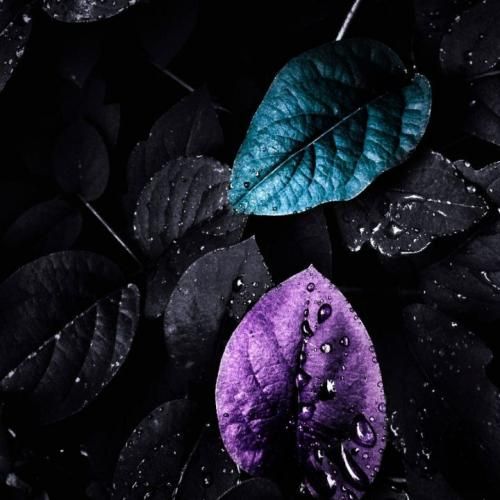  هرگاه به کف پام میچسبم واسه همین نمیمونه رد پام