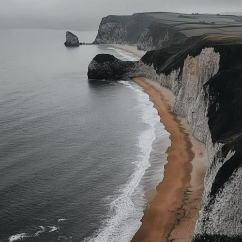  منو چه به حال خوب چه سگ دویی که نزدم