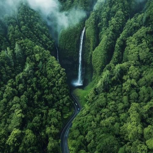  چند روزه به جای میشه اون میشه فدای تو