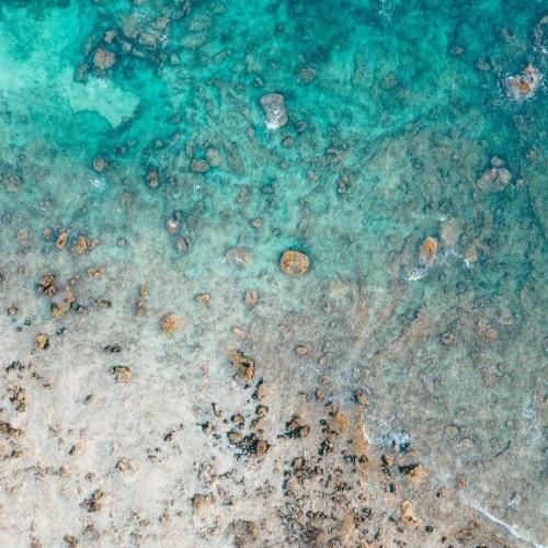  کلو بیسال شو بدك و انا دوخني الجمال