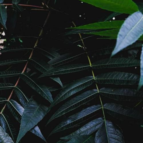  من بد عادتت کردم نه رفتی همه جا گفتی