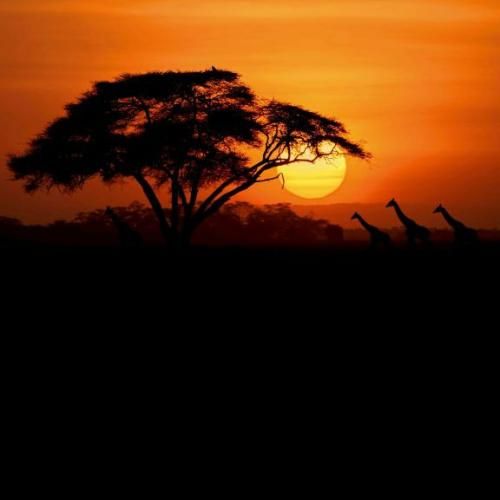  نگرانمی مثل یه مادر نباشی میخوام این دنیارو