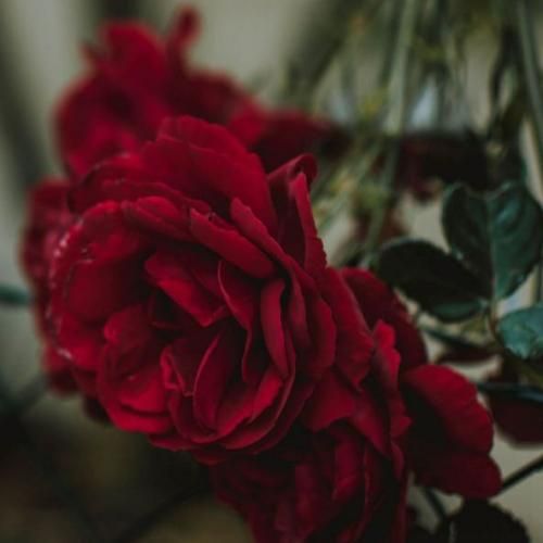  خیابون یه طرفه بود دورم زدی حیف ولی تهش