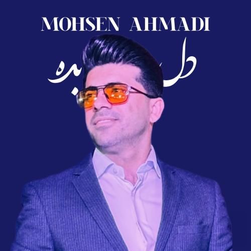 محسن احمدی دل بده