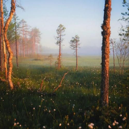  کاش قبل تر از قبلیا دیده بودمت اینجوری