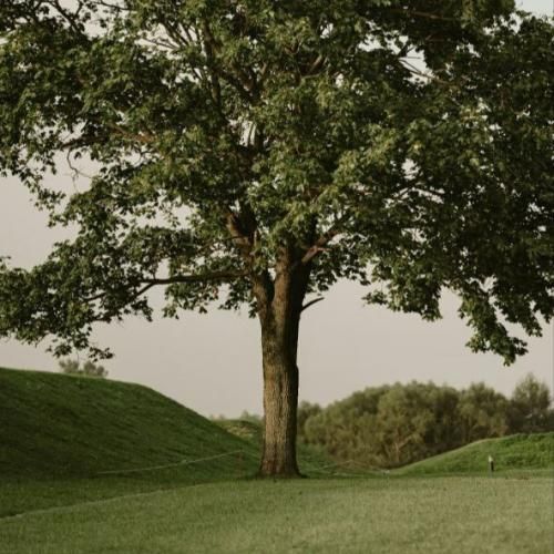  وقتی کسی نیست حرفامو بشنوه فکر میکنم