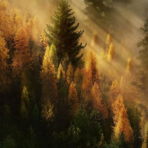  دلم تنگه که واسه کسی جا نیس بمونه