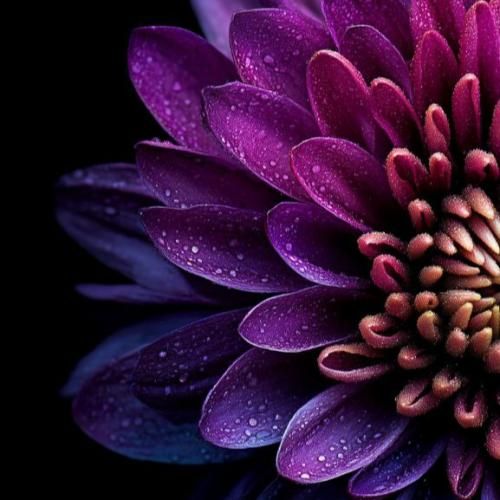  واسه آخرین بار بود یکیو راه دادم تو قلبم