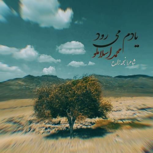 محمد اسلاملو یادم میرود