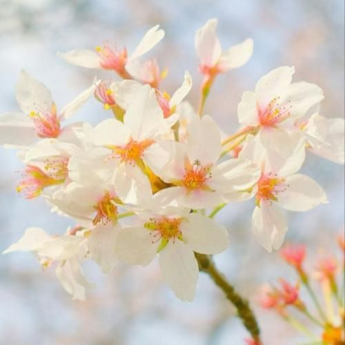  تو یهو قلبت رد داد دیگه به من حس نداشت