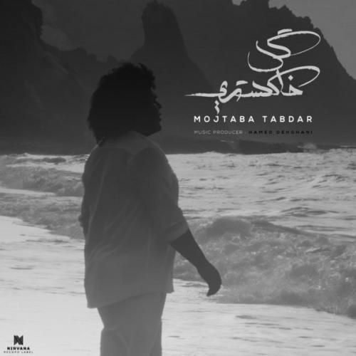 مجتبی تابدار گل خاکستری