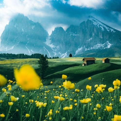 روانم سوی ساحل دلم شد بر تو مایل