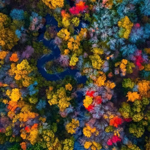  میخوان کاردیم کنن شنگول و منگول تو‌ تهش میتونی