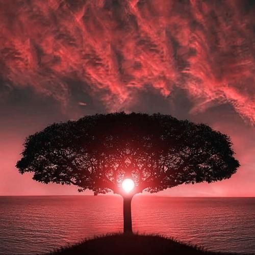  دور دنیارم بگردم بازم مثل تو نیست تا من