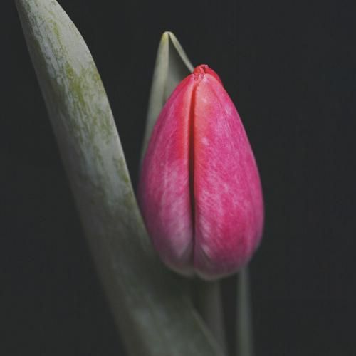  قیدتو زدم رفتم عین تو منم مستم