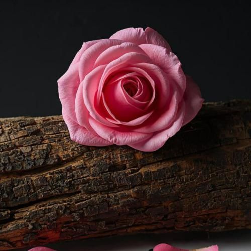 اندازه شاهنامس بدبختیام بنزین ریختم رو خودم