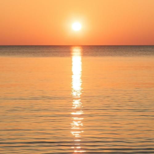 دافه قر تو کمرش فراوونه نمیدونه کجا بریزه